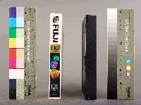 1230慶功宴 爭獎金：台塑員工柔性抗爭藏品圖，第4張