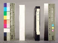 陸凱聲、蔡崇隆攝奇蹟背後藏品圖，第4張