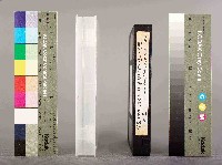 Hoonkyu Lee、Hyunsuk Joo攝韓國反對公里制度2003坎昆WTO反對抗爭藏品圖，第4張