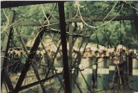 1991年9月7~8日蔡同榮發起之公投入聯台北大遊行活動負片及其相片藏品圖，第1張