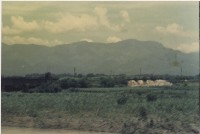 1992年6~7月二項活動負片及其相片藏品圖，第1張