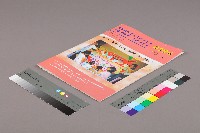 高雄縣保育人員職業工會、高雄市輔育人員職業工會《聯合會刊》2006年7月夏季刊藏品圖，第3張