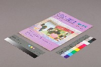 高雄縣保育人員職業工會、高雄市輔育人員職業工會《聯合會刊》2006年10月秋季刊藏品圖，第3張