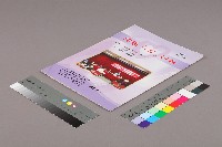 高雄縣保育人員職業工會、高雄市輔育人員職業工會、台南市保育人員職業工會、台南縣保育人員職業工會、台北市教保人員協會《聯合會刊》2007年8月藏品圖，第3張