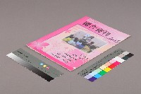 高雄縣保育人員職業工會、高雄市輔育人員職業工會、台南市保育人員職業工會、台南縣保育人員職業工會、台北市教保人員協會《聯合會刊》2008年4月春季版藏品圖，第3張