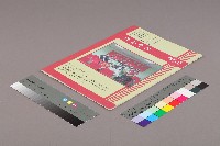 高雄市輔育人員職業工會、高雄縣保育人員職業工會、台南市保育人員職業工會、台南縣保育人員職業工會、台北市教保人員協會《聯合會刊》2008年12月冬季刊藏品圖，第3張