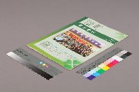 高雄市輔育人員職業工會、高雄縣保育人員職業工會、台南市保育人員職業工會、台南縣保育人員職業工會、台北市教保人員協會《聯合會刊》2009年4月春季刊藏品圖，第3張