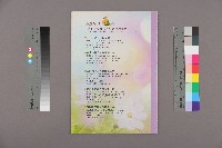 台北市教保人員協會、台南市保育人員職業工會、台南縣保育人員職業工會、高雄市輔育人員職業工會、高雄縣保育人員職業工會《聯合會刊》2009年10月秋季刊藏品圖，第2張