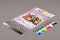 台北市教保人員協會、台南市保育人員職業工會、台南縣保育人員職業工會、高雄市輔育人員職業工會、高雄縣保育人員職業工會《聯合會刊》2009年10月秋季刊藏品圖，第3張