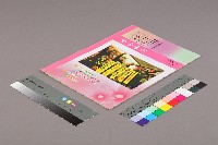 台南市保育人員職業工會、台南縣保育人員職業工會、高雄市輔育人員職業工會、高雄縣保育人員職業工會、台北市教保人員協會、育合春教育基金會《聯合會刊》2010年4月春季刊藏品圖，第3張