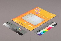 教保服務行動聯盟《聯合會刊》2010年月10秋季刊藏品圖，第3張