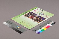 教保服務行動聯盟《聯合會刊》2011年04月春季刊藏品圖，第3張