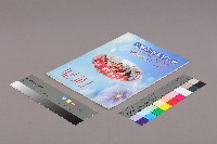 全國教保產業工會《聯合會刊》2011年08月夏季刊藏品圖，第3張