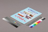 全國教保產業工會《聯合會刊》2012年08月夏季刊藏品圖，第3張