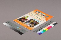 全國教保產業工會《聯合會刊》2014年夏季刊藏品圖，第3張