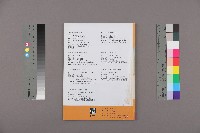 《全國教保產業工會》No. 16藏品圖，第2張