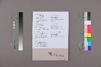 《全國教保產業工會》No. 22藏品圖，第2張