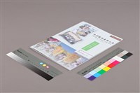 《全國教保產業工會》No. 23藏品圖，第3張