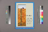 《工訊》No. 44藏品圖，第2張