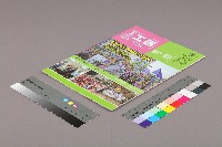 《工訊》No. 49藏品圖，第3張