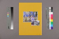 《工訊》No. 50藏品圖，第2張