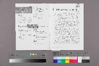 《勞動者》第179期藏品圖，第2張