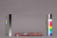 高雄市理燙髮美容業職業工會第七屆第三次會員大表大會手冊藏品圖，第3張