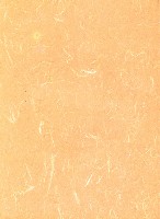 《高市勞工》第37期藏品圖，第3張