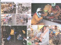 《高市勞工》103年度合輯藏品圖，第11張