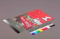 《工議》第40期藏品圖，第11張