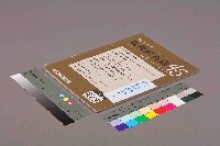 《批判與再造》第45期藏品圖，第11張