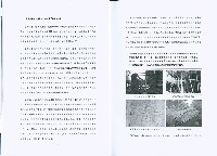 《「造船技術與勞動價值關鍵口述歷史」產學合作案 結案報告》藏品圖，第8張