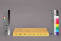 《「彈性化勞動體制：勞動派遣就業現況與勞動條件」研究計畫 期末報告(附錄)》藏品圖，第12張