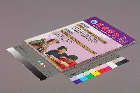 《就業安全》第六卷第二期藏品圖，第11張