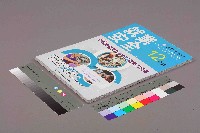 《就業安全》第十三卷第二期藏品圖，第11張