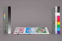 《台灣勞工季刊》NO33藏品圖，第12張