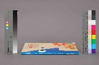 《勞動統計月報》第6期藏品圖，第12張