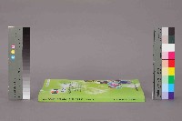 《各國職災保險制度中預防與重建作法之比較研究》藏品圖，第12張