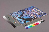 《就業與訓練》第十九卷第一期 藏品圖，第11張