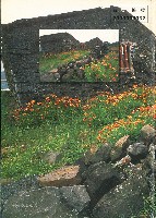 《就業與訓練》第十九卷第五期 藏品圖，第5張