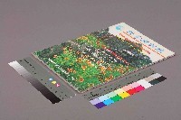 《就業與訓練》第十九卷第五期 藏品圖，第11張