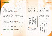 《優勢觀點：雲嘉南區就業服務中心年報》2006年藏品圖，第2張