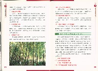 《勞工休閒活動實務手冊》藏品圖，第9張