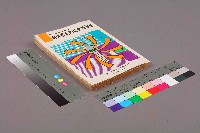 《退休基金的社會性投資：為愛心或為賺錢》藏品圖，第1張