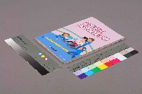 《失業勞工保障權益手冊》藏品圖，第11張