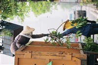 莊其昌參展作品「街道維護者」藏品圖，第1張