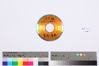 勞動影像暨說故事徵集比賽作品〈清洗作業〉吳玉麟攝藏品圖，第3張