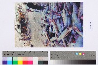 勞動影像暨說故事徵集比賽作品〈漁獲〉吳玉麟攝藏品圖，第2張