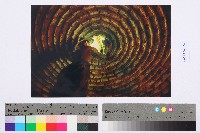勞動影像暨說故事徵集比賽作品〈碳窯製作〉吳玉麟攝藏品圖，第2張