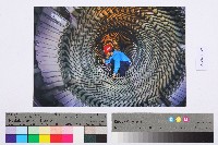 勞動影像暨說故事徵集比賽作品〈檢測作業〉吳玉麟攝藏品圖，第2張